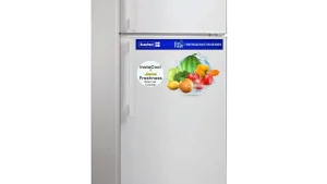 Scanfrost Direct Cool Double Door Refrigerator 196L|SFR210DM