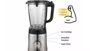 Scanfrost Smoothie Maker & Ice Crusher 1.75L|SFKAB1400W